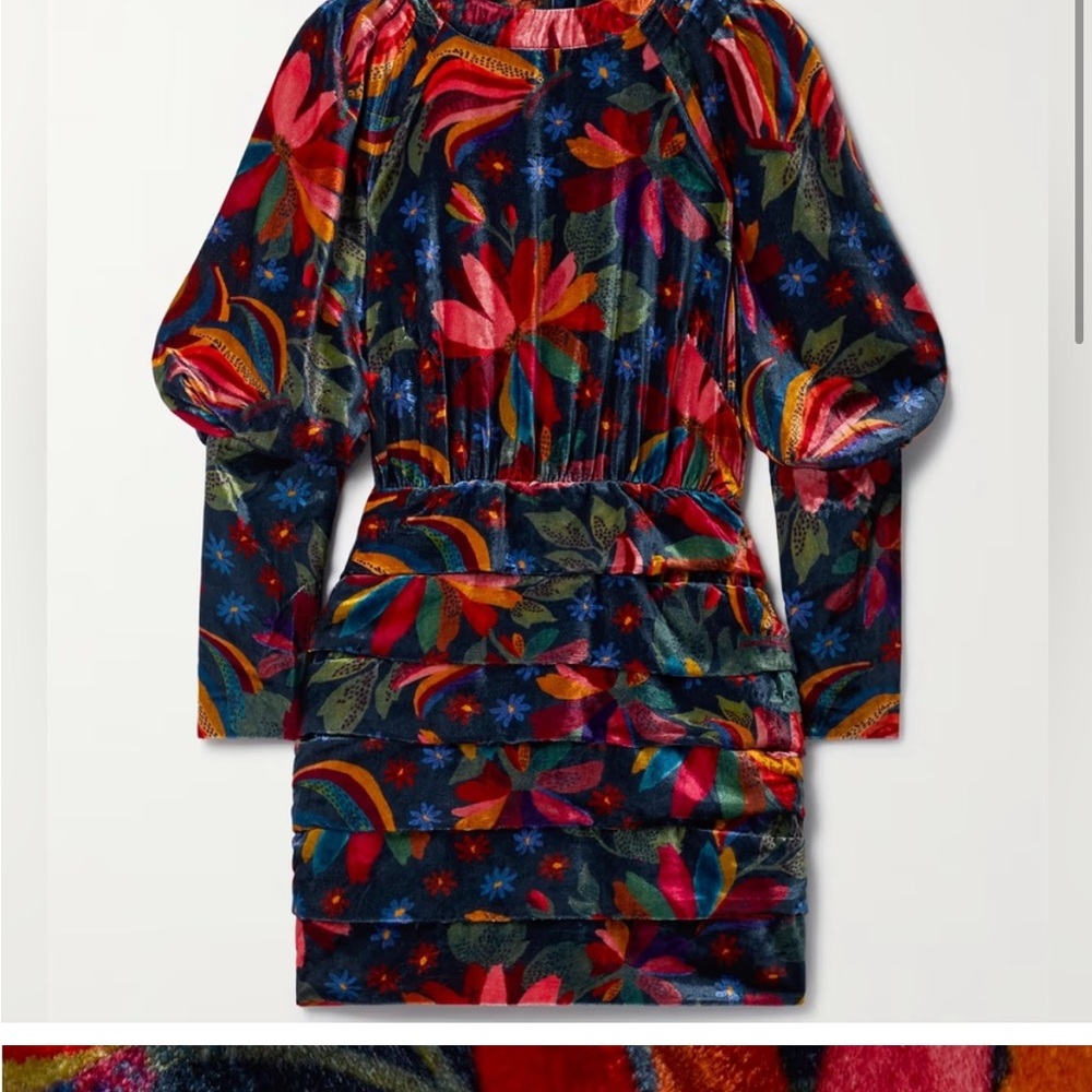 FARM Rio Floral Velvet Ruched Dress - Picture 3 of 3